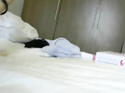 asia_fox