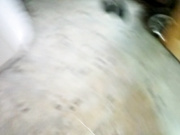 ROYALROOM