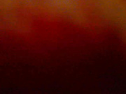 2012-12-22 VIP-Show Idolly