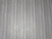 elctro-july @ 13-07-2019