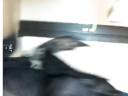 Сладкая -_-_-_-