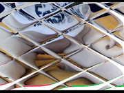 6990 В привате необычная удивительная дырочка