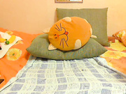 RedFoxxx трахает мужик