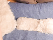 Pussylovekate - нежная маструбация (сексуальные ступни)