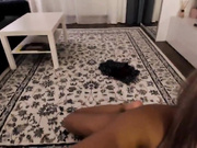 pippalee