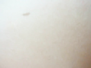 Алина Туманова