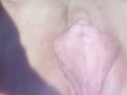 larara