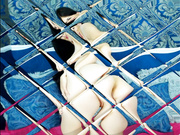 7058 Харьковская красотка