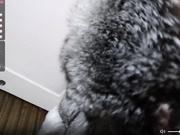 Eseniyavl - шикарные сиськи