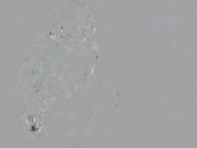 Alanaelita2