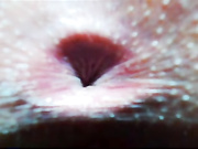 Frida_Oliva показ анусов