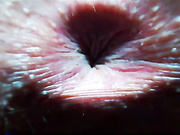 Frida_Oliva показ анусов