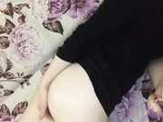 Sasha-Model