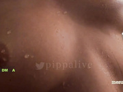 Pippalee