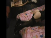 Соло и лесби