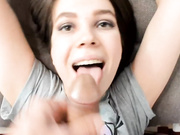 ofcousfox
