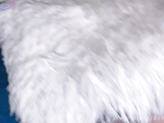 Sia_Siberia