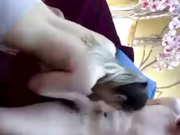 Минет замечательной пары para_wmh