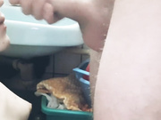 Lana Weiss старательно сосет