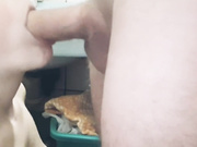 Lana Weiss старательно сосет