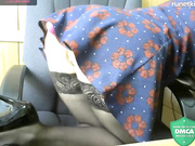 --Lika-- 2020-05-21 15-17-43-473