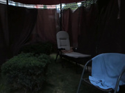 Anabel054 (золотой дождь)