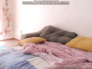 Amilyfox