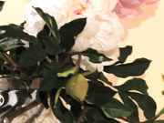 Катя Самбука (Big Tits)