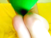 BirdInACage3