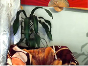 millarri приват