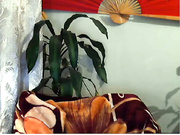 millarri приват