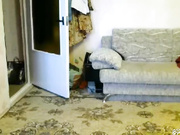 lilla1988(продолжение)