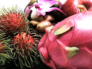 Катя Самбука (Райский Гимн)