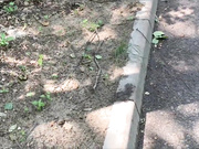 Kisa-Gav голые шалости на  дороге