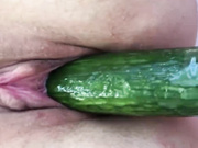 Огурец прямо с грядки