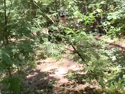 Kisa-Gav