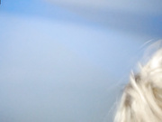 your__ecstasy (NamiStarlight, TreshGirls)