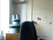 crazy_brain сиськи