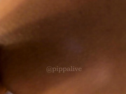 pippalee