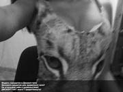 demetrags зажигает