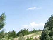Kisa-Gav
