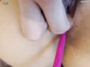 catsamy 2018-04-03