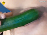 pisechkamoa
