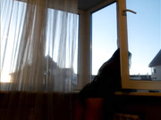 misss-vikki (сквиртанула)