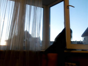 misss-vikki (сквиртанула)