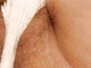 TANYAX8