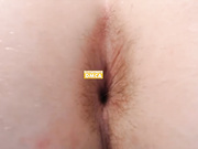 GoAlexGo