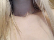Nistellacooi
