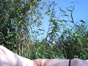 _bad_boy_at_beach_tickeling_nudist_pussy_