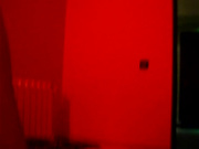 AMINA делает минет